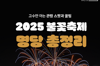 [카드뉴스] '2025 여의도 불꽃축제' 고수만 아는 숨은 명당 총정리