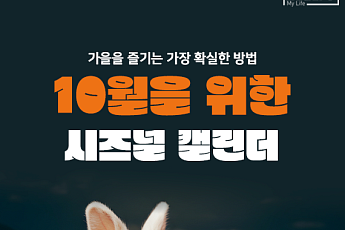 [카드뉴스] 먹거리·절경 쏟아지는 '전국 10월 축제' BEST 9