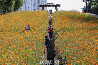절기상 추분(秋分) 완연한 가을 날씨... '흐리고 일교차 큰 하루' [포토로그]
