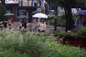 [날씨] 남부·제주 곳곳 비…최대 60mm