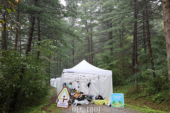 '도심 숲속에서 꿀잠' 유한킴벌리, 2025 우리 강산 푸르게 푸르게 숲속 꿀잠 대회 개최 [포토]