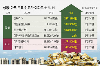 토허제 지정될라…성동·마포 아파트 단기간 신고가 속출