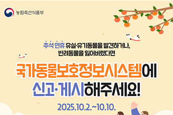 추석 연휴 멍냥이도 안전! 유실·유기동물 구조·진료 서비스