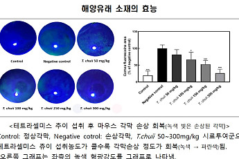 홍어껍질이 체지방 감소에 효과 인증⋯해양생명자원 4종 식약처 개별인정