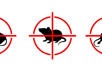 야외활동 늘어나는 추석 연휴…“쥐가 지나간 자리 피하세요”