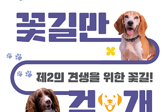 ‘국가에 봉사한 은퇴 탐지견’, 따뜻한 가족 찾아요