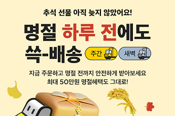 “5일까지 주문하면 추석 당일 온다”...명절 배송 ‘이커머스 활용법’