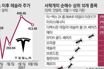 “미워도 다시 한번”…테슬라로 몰려간 서학개미