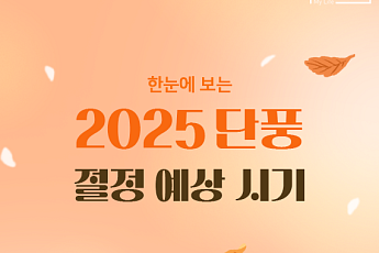 [카드뉴스] 2025 단풍 절정 시기, 명소·산행 정보 A to Z