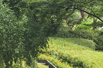 서울국제정원박람회 11월 2일까지 연장 운영⋯가을 꽃 추가된 정원 선보여