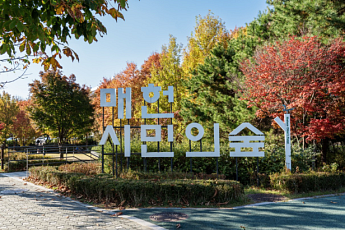 음악과 정원 동시에 즐긴다⋯'가을엔, 매헌 정원 음악회’ 11월 개최