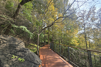 남산 하늘숲길 열린다…도심 한눈에 담을 1.45km 무장애 산책로