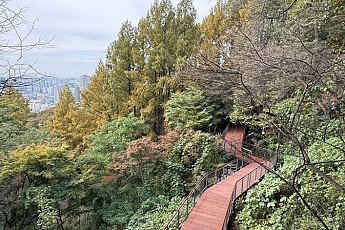 남산 ‘하늘숲길’, 도심 속 힐링 산책로 25일 개장