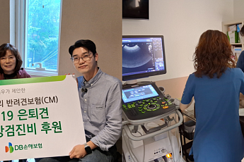 DB손해보험, 설채현·이기우와 119은퇴견 건강검진비 후원