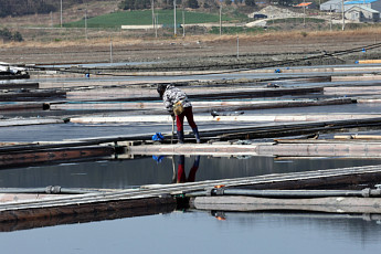 '염전 노예' 논란에 1004의 섬 신안군...'국가문화유산' 취소 신청