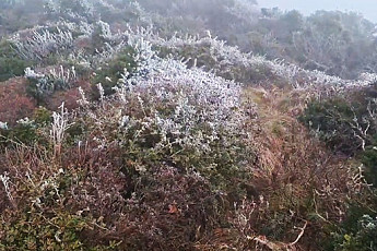 [포토] 제주도 한라산 첫 상고대...지난해보다 9일 빨라