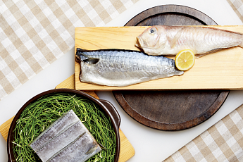 고등어·옥돔·갈치…제주 바다의 선물로 차린 시니어 밥상