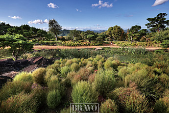 가을 정원은 쉴 만한 은신처이고 쓸쓸한 사색의 출항지다