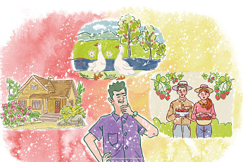 대지에 집 짓기, 그 완성되지 않은 꿈