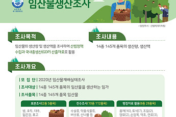 지난해 임산물 생산액 7조4000억 원…전년 대비 3.5%↑