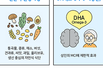 [만화로 보는 시니어 뉴스] “두뇌도 식습관이 좌우한다”…인지 건강 위한 식단
