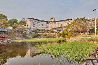 中 시진핑,  2박3일간 코오롱호텔 ‘자미원’ 투숙…“매우 편안했다” 극찬[APEC 순간들]