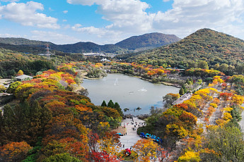 초겨울 추위 앞두고 인천대공원 가을 단풍 절정 [포토로그]