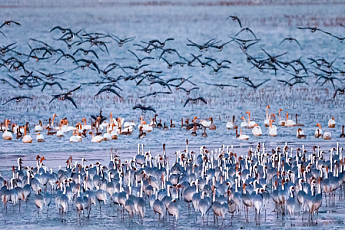 11월 '이달의 생태관광지'에 창원 주남저수지 선정