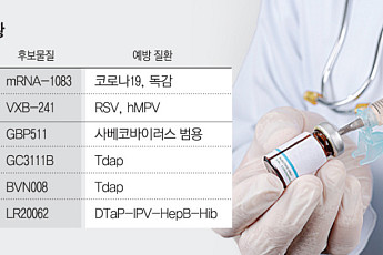 주사 한 방으로 ‘끝’…백신 업계 ‘혼합백신’ 개발 각축전[점프업 K백신①]