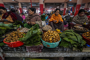 연금 없는 노후, 은퇴 없는 노동…디딤대 없는 노인들 [늙는 글로벌사우스, 조여오는 경제위기 ②]