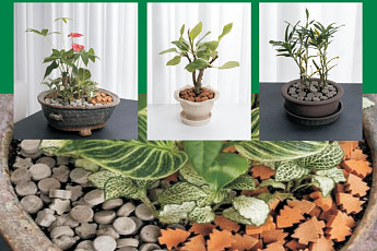 버리던 감귤 찌꺼기, 악취 잡고 농가소득 올린다…‘순환농업’ 새 수익원 부상