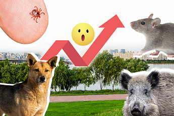 쥐·진드기·들개·멧돼지 출몰…2025년 맞습니다 [해시태그]