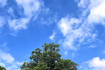 HS효성, 임직원 소통 활성화⋯캘린더 사진 공모전 개최