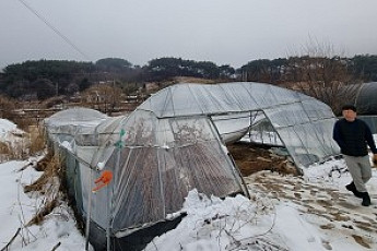 폭설 한 번에 하우스도 무너진다…정부, 겨울철 농업 피해 ‘선제 방어’