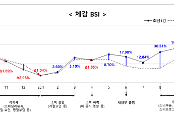 10월 소상공인 체감 경기동향지수, 최근 5년 중 최고 수치