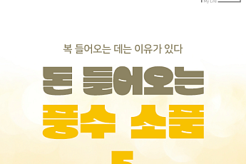 [카드뉴스] 돈달력부터 달 항아리까지, 돈 부르는 풍수 소품 5