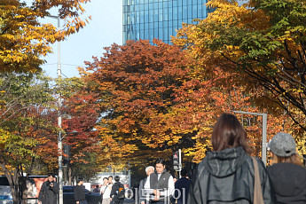 [내일날씨] ‘일요일 온화’ 낮 최고 18도…전국 대체로 흐림