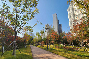 도시 곳곳에 ‘숨 쉬는 숲’ 늘었다…산림청, 올해의 녹색도시 14곳 선정