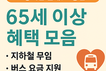 놓치면 손해! 65세 이상 혜택(교통편)