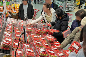 롯데마트, ‘헬로 윈터 페스티벌’ 열고 초겨울 먹거리 할인