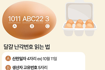 계란 껍데기에 적힌 '10자리 숫자'의 비밀 [에그리씽]