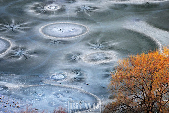 [포토 에세이] 겨울 호수의 숨결