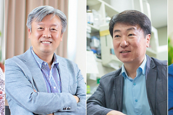 경희대 교수진, 세계 상위 1% 연구자 4명 선정…국내 종합대학 3위