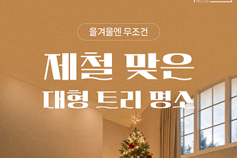 [카드뉴스] 크리스마스 시즌 추천 '대형 트리' 카페 6