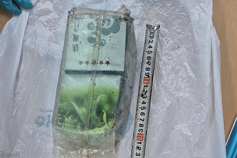 또 차(茶)봉지 마약...제주도 벌써 17차례나 발견