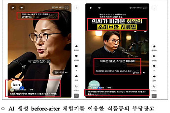 AI 생성물 표시ㆍ징벌적 손해배상 도입⋯정부, AI 가짜 광고 차단 총력
