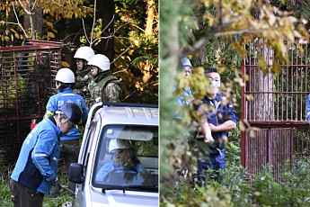 日 북부도시 초긴장…기후변화에 ‘겨울잠도 잊은 곰’ 도심까지 출몰