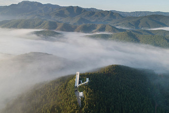 마음이 쉬어가는 사유원에서 108그루의 모과나무를 만나다