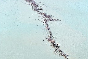 '축제' 진도군 신비의 바닷길...2026년도 새 길을 연다