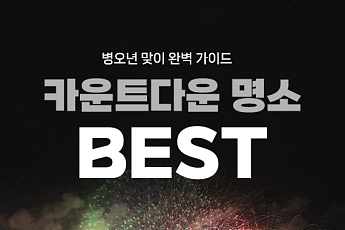 [카드뉴스] 가족과 함께 '연말 카운트다운 행사' 모음 6